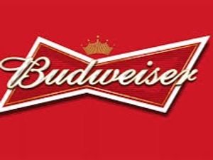 imagem do produto Budweiser Litrão