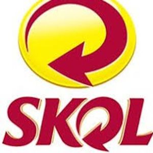 imagem do produto Skol Lata 269