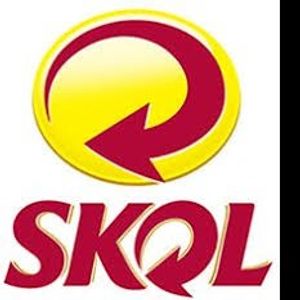 imagem do produto Skol Garrafinha 300ml