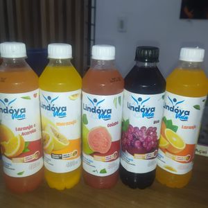 imagem do produto SUCOS LINDOYA