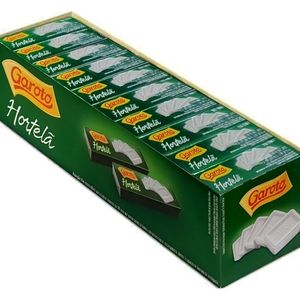 imagem do produto Pastilha Garoto 