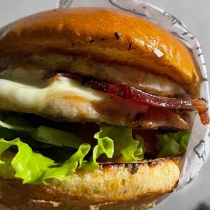 imagem do produto X BURGUER TRADICIONAL 