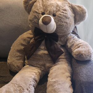 imagem do produto Urso gigante