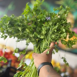 imagem do produto Salsinha