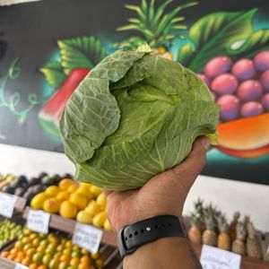 imagem do produto Repolho