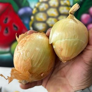 imagem do produto Cebola graúda