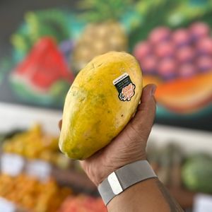 imagem do produto MAMÃO PAPAIA 