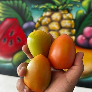 imagem do produto Tomate