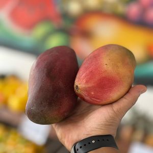 imagem do produto Manga 