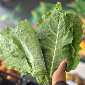 imagem do produto Couve