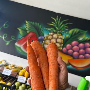 imagem do produto Cenoura