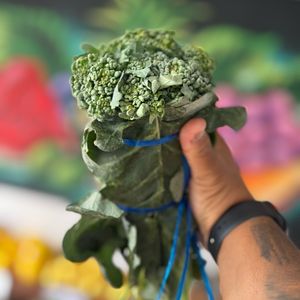 imagem do produto Brócolis 