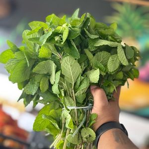 imagem do produto Hortelã