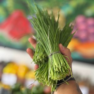 imagem do produto Cebolinha salsinha