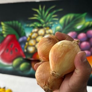 imagem do produto Cebola miúda