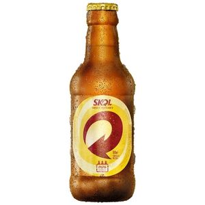 imagem do produto Skol Litrinho retornável - 300ml