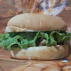 imagem do produto X-salada