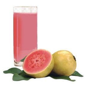 imagem do produto Suco de Goiaba 300ml