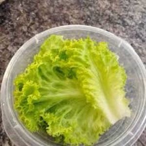 imagem do produto Alface