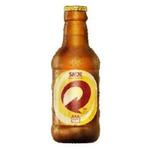 imagem do produto Skol