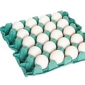 imagem do produto Cartela de Ovos  🥚