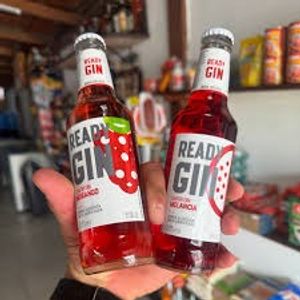 imagem do produto Ready Gin
