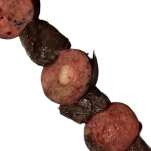 imagem do produto Espeto misto 