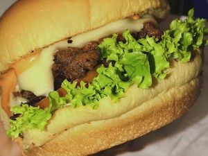imagem do produto X - Salada Burger