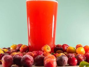 imagem do produto Suco Acerola 300ml