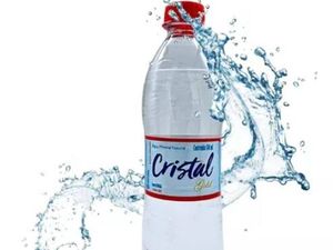 imagem do produto Água com Gás 500ml