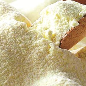 imagem do produto Leite em pó 