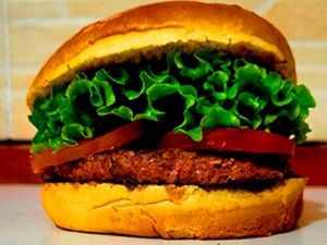 imagem do produto Hambúrguer Hulk Magrelo 90gr