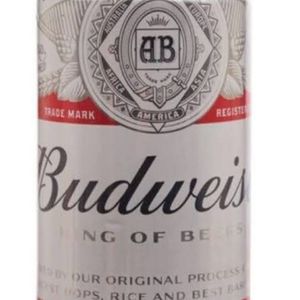 imagem do produto budweiser 