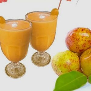 imagem do produto Suco Mangaba 