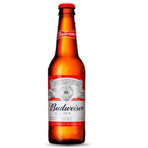 imagem do produto BUDWEISER - LONG NECK
