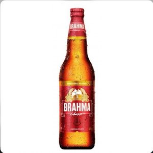 imagem do produto Brahma chopp 600