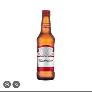 imagem do produto Budweiser Long Neck