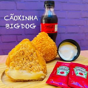 imagem do produto COMBINHO: BIG DOG + COQUINHA ZERO