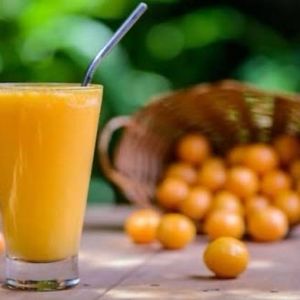 imagem do produto Suco de Cajá