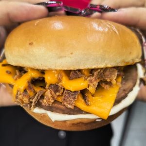 imagem do produto Burguer cheddar cebola crysp 