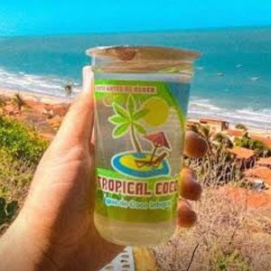 imagem do produto Água de Coco Tropical Coco 290 ML