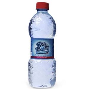imagem do produto ÁGUA COM GÁS STER BOM 500 ML