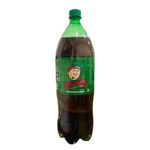 imagem do produto Garoto 2L