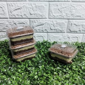 imagem do produto Bolo de Brigadeiro de ninho 200g 