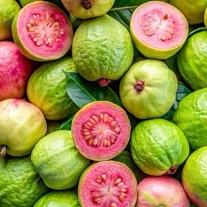 imagem do produto Creme de goiaba 