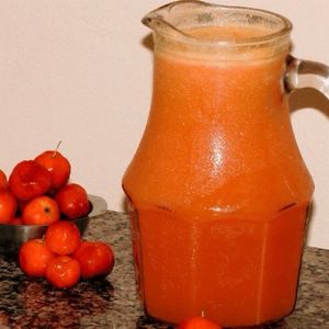 imagem do produto Jarra de suco de acerola