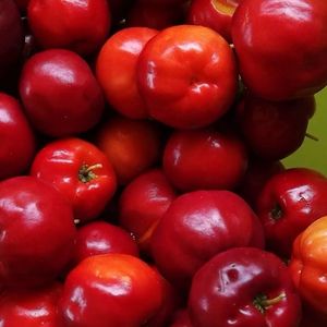 imagem do produto Creme de acerola