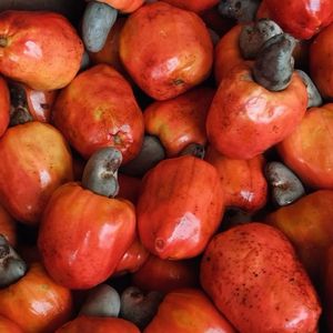 imagem do produto Jarra suco de caju