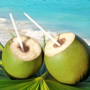 imagem do produto ÁGUA DE COCO