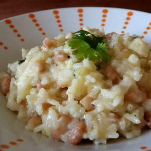 imagem do produto Baião cremoso (M)